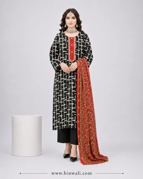Aleena's printed lawn suit